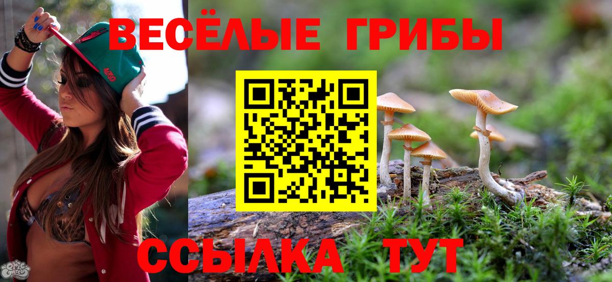 Галлюциногенные грибы Psilocybine cubensis  Вход с VPN  Псилоцибиновые грибы Magic Shrooms  Касимов 